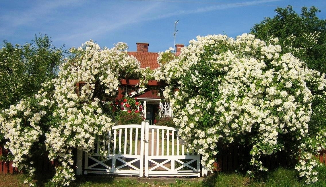 org:/Customer Services/S15/SCcomp1.JPG